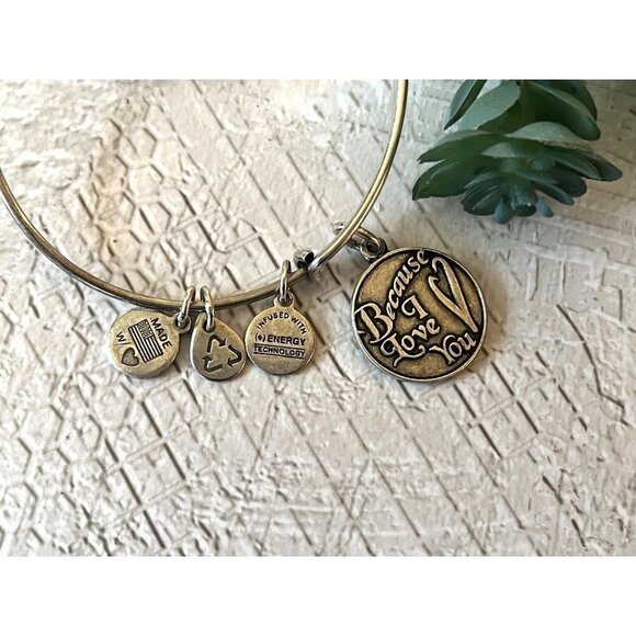 Alex and Ani 2015 Silver Because I Love You Charm Bangle Bracelet - Picture 1 of 9